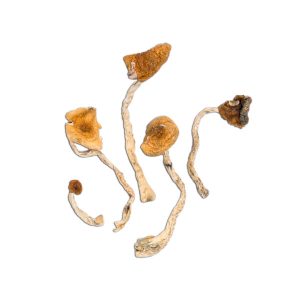 Mazatapec